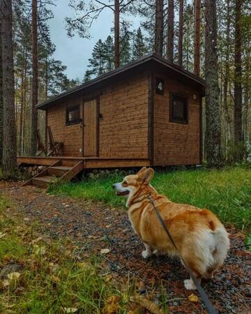 Домик на двоих (возможно заселение с питомцем) в  Глэмпинг NewCamp Эссойла
